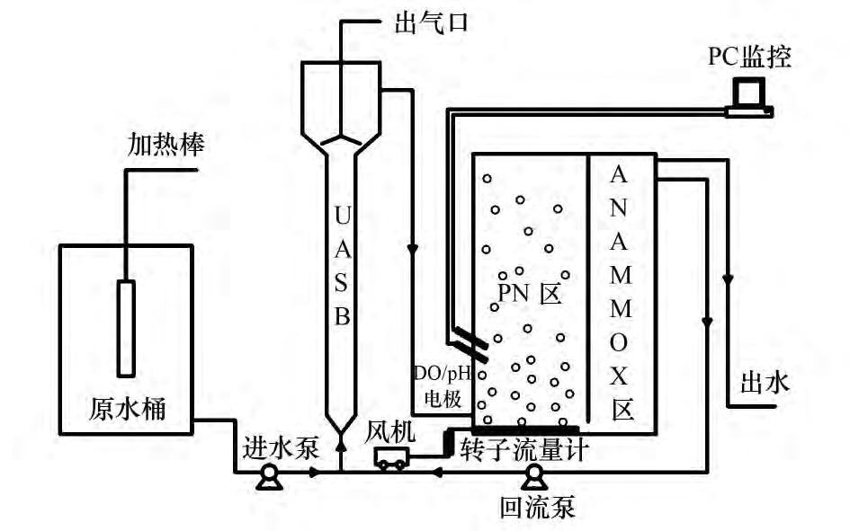 湛清