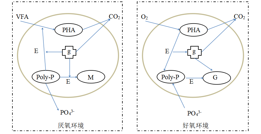 	苏州湛清环保科技有限公司