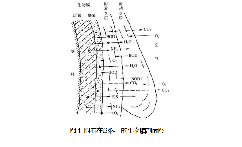 苏州湛清环保科技有限公司