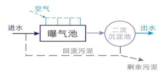 总氮去除