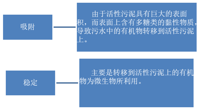 总氮去除