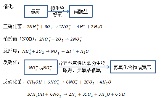 总氮去除