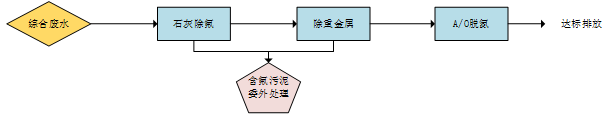 总氮处理工艺