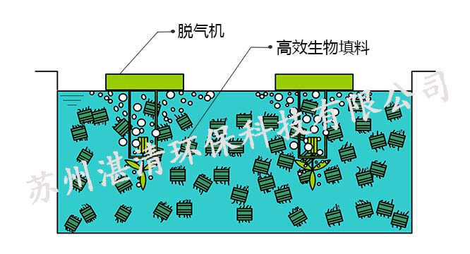 脱氮流化填料IDN-MBP 脱氮流化填料IDN-MBP