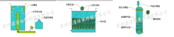 总氮超标