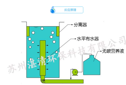 高效脱氮HDN