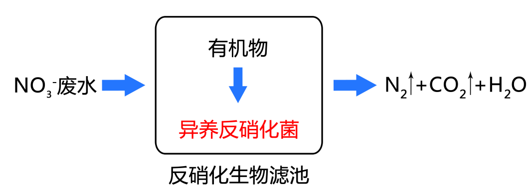 总氮超标