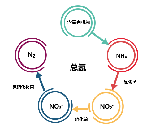 总氮处理