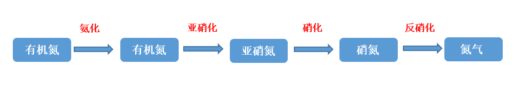 总氮去除方法