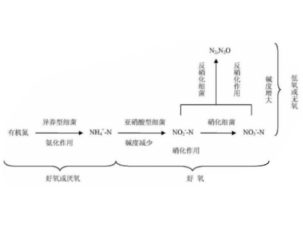 总氮处理